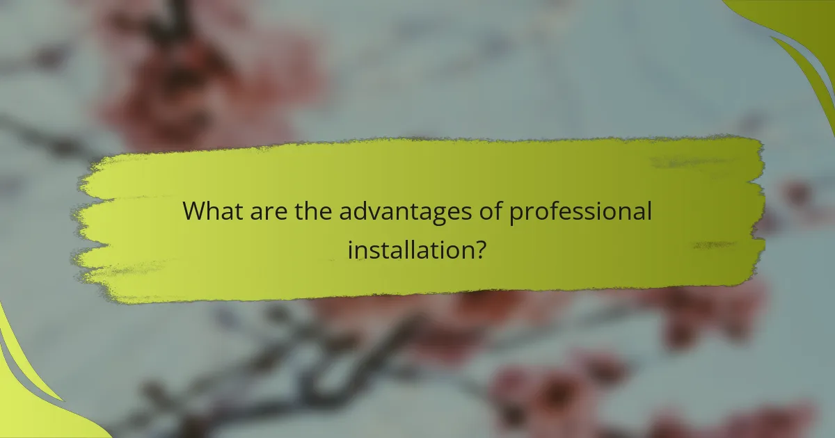 What are the advantages of professional installation?